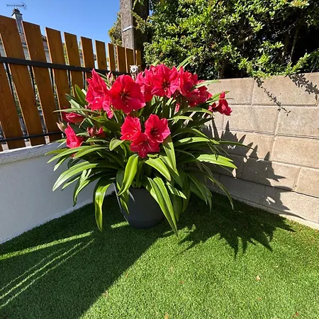 La Maison Du Bonheur Unique ! Frühstückspension *