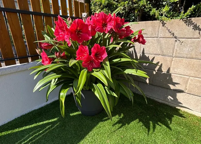 La Maison Du Bonheur Unique ! فندق مبيت وإفطار *